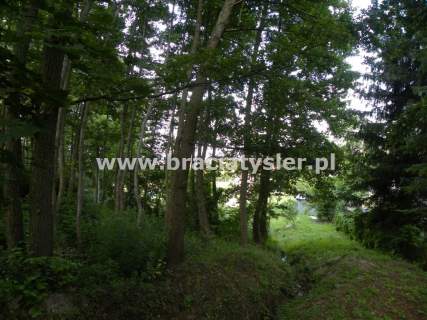 Dom 400/2800 m Tryszczyn 300m od rzeki 1450000