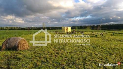 atrakcyjna działka rolna 5000m2, Lisewiec k/Kolbud