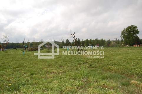 atrakcyjna działka rolna 5000m2, Lisewiec k/Kolbud