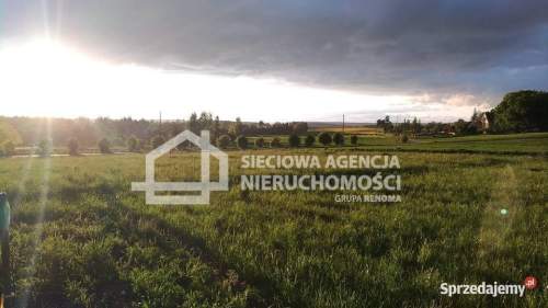 atrakcyjna działka rolna 5000m2, Lisewiec k/Kolbud