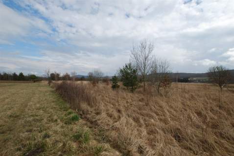Działka budowlana Ciekoty 700 m2