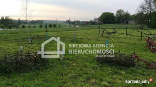 atrakcyjna działka rolna 5000m2, Lisewiec k/Kolbud