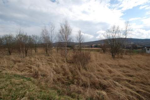 Działka Ciekoty 982 m2
