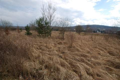 Działka Ciekoty 982 m2