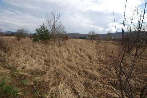 Działka budowlana Ciekoty 700 m2