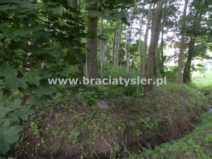 Dom 400/2800 m Tryszczyn 300m od rzeki 1450000
