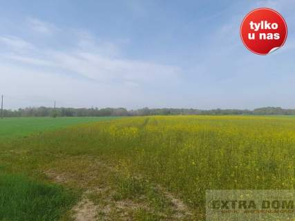 Działka budowlana na sprzedaż, 5000 m2, Korytowo