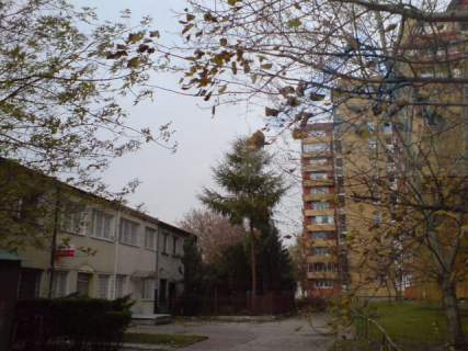 Pawilon usługowo-handlowy na Bródnie