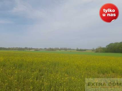 Działka budowlana na sprzedaż, 5000 m2, Korytowo
