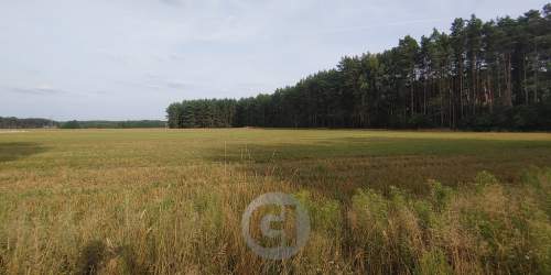 Działka pod budowę w Boleminie