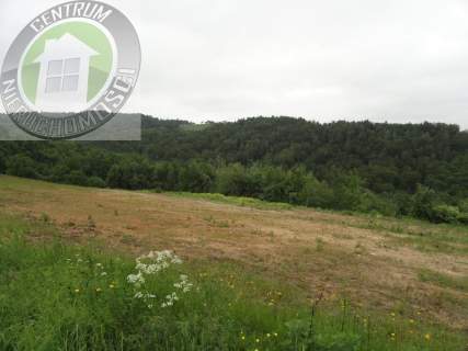 Dom na sprzedaż, 290,7 m2, Gródek nad Dunajcem