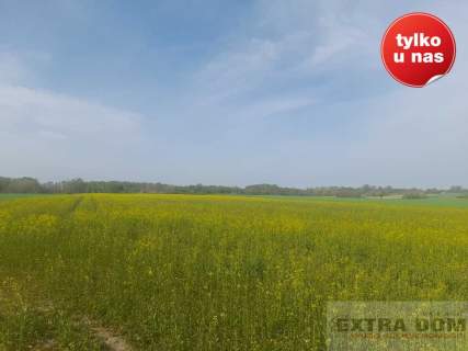 Działka budowlana na sprzedaż, 5000 m2, Korytowo
