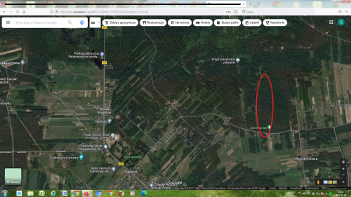 Działka 17200m2 leśna Siennica