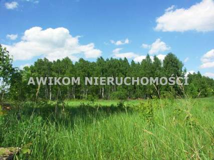 Działka rolna na sprzedaż, 10300 m2, Borowiny