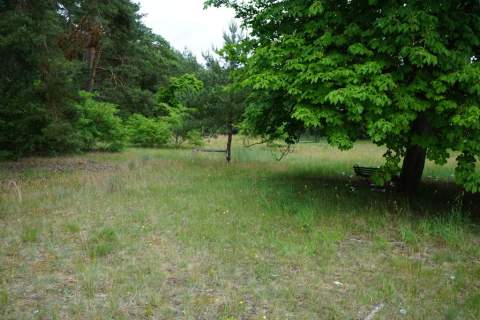 Działka 1h 383m2 m2, zabudowana budynkiem 380 m2