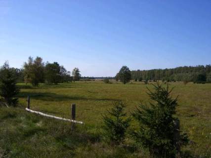 Działka rolna na sprzedaż, 998,58 m2, Pobierowo