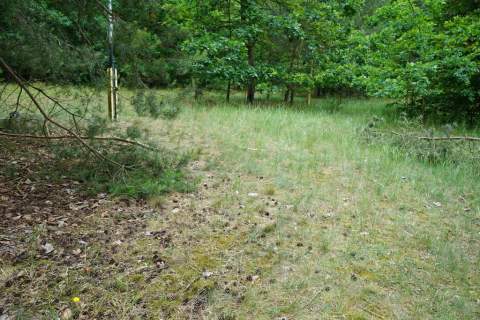 Działka 1h 383m2 m2, zabudowana budynkiem 380 m2
