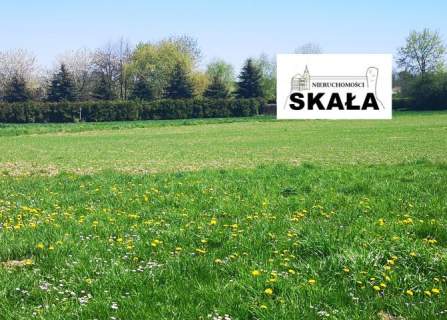 Rzeplin/Skała dz. bud 16 ar.