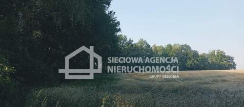 Ziemia rolna Wilkowo Nowowiejskie 3,2ha Kaszuby