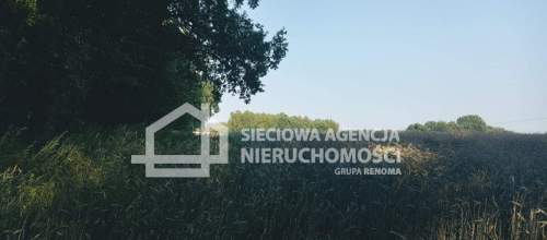 Ziemia rolna Wilkowo Nowowiejskie 3,2ha Kaszuby