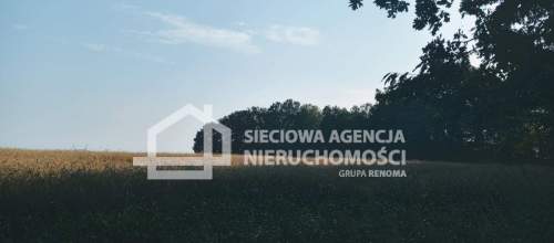 Ziemia rolna Wilkowo Nowowiejskie 3,2ha Kaszuby
