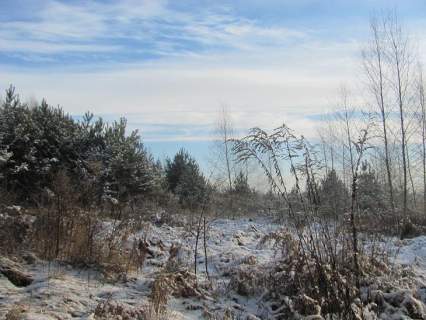 Działka rolna na sprzedaż, 33018 m2, Dąbrowa Górnicza