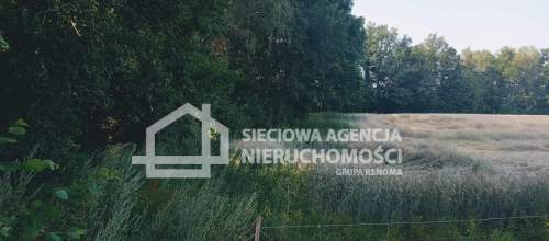 Ziemia rolna Wilkowo Nowowiejskie 3,2ha Kaszuby