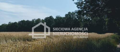 Ziemia rolna Wilkowo Nowowiejskie 3,2ha Kaszuby