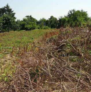 Działka budowlana na sprzedaż, 700 m2, Skała