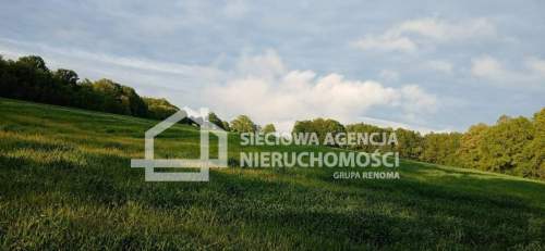 Ziemia rolna