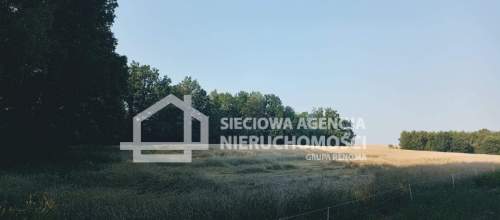 Ziemia rolna Wilkowo Nowowiejskie 3,2ha Kaszuby