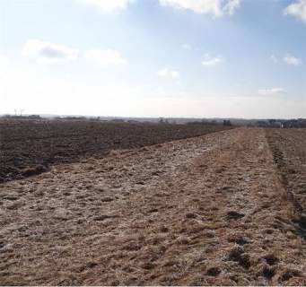 Działka rolna na sprzedaż, 4500 m2, Cianowice Duże