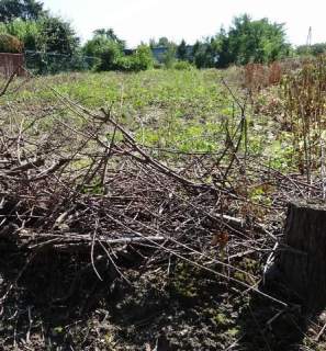 Działka budowlana na sprzedaż, 700 m2, Skała
