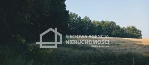 Ziemia rolna Wilkowo Nowowiejskie 3,2ha Kaszuby