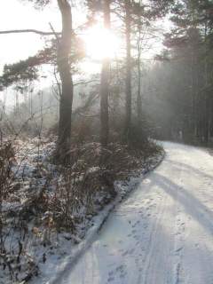 Działka rolna na sprzedaż, 33018 m2, Dąbrowa Górnicza