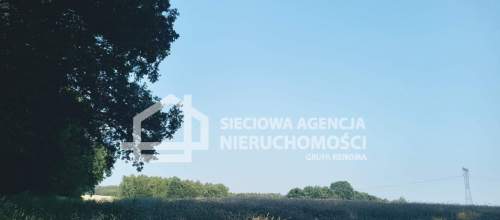 Ziemia rolna Wilkowo Nowowiejskie 3,2ha Kaszuby