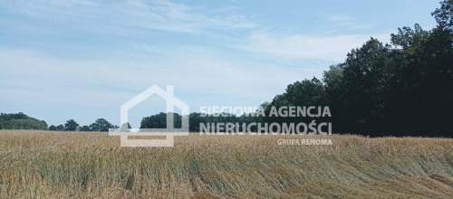 Ziemia rolna Wilkowo Nowowiejskie 3,2ha Kaszuby