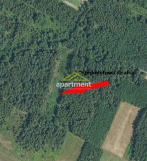 DZIAŁKA ROLNA - LIPINY, GMINA DĄBROWA TARNOWSKA