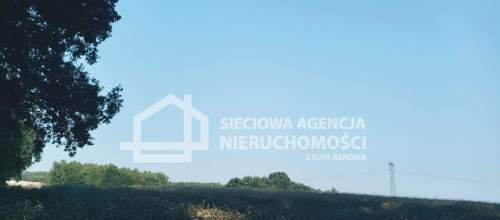 Ziemia rolna Wilkowo Nowowiejskie 3,2ha Kaszuby