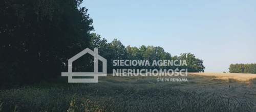 Ziemia rolna Wilkowo Nowowiejskie 3,2ha Kaszuby