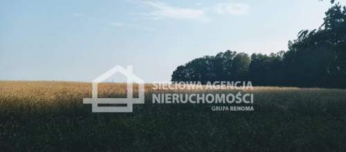 Ziemia rolna Wilkowo Nowowiejskie 3,2ha Kaszuby