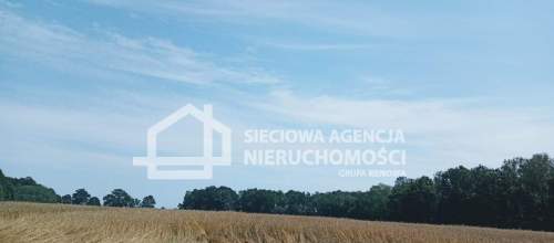 Ziemia rolna Wilkowo Nowowiejskie 3,2ha Kaszuby
