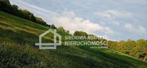 Ziemia rolna