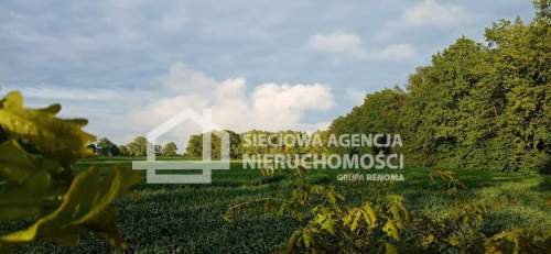 Ziemia rolna