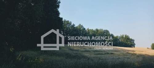 Ziemia rolna Wilkowo Nowowiejskie 3,2ha Kaszuby