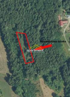 DZIAŁKA ROLNA W MIEJSCOWOŚCI LIPINY, GMINA DĄBROWA