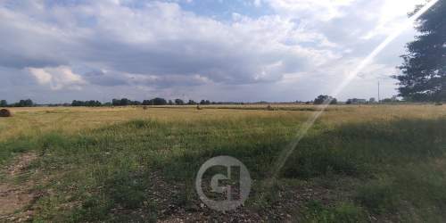 Działki w prądocinie na sprzedaż