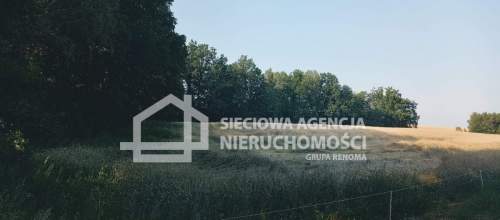 Ziemia rolna Wilkowo Nowowiejskie 3,2ha Kaszuby