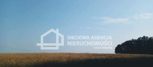 Ziemia rolna Wilkowo Nowowiejskie 3,2ha Kaszuby
