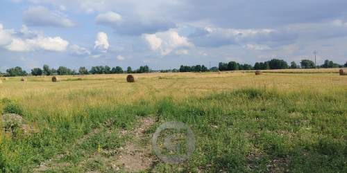 Działki w prądocinie na sprzedaż